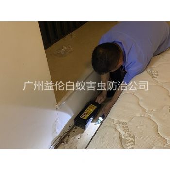 芳村家居白蚁灭治工程
