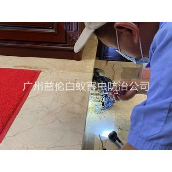 从化安装诱杀箱监测白蚁工程